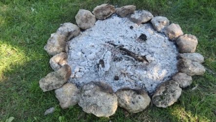 Деревна зола як добриво: склад, використання, користь