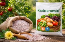 Калимагнезия: что это за удобрение и как правильно его применять