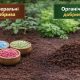 Мінеральні vs. органічні добрива: що обрати для городу та саду