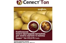 Сучасні технології захисту зерна: як аграрії підвищують врожайність і зменшують ризики