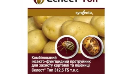 Сучасні технології захисту зерна: як аграрії підвищують врожайність і зменшують ризики